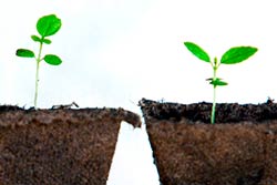 Equitable Facilitation: Supporting Equity Through Leadership